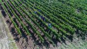 DJI0021