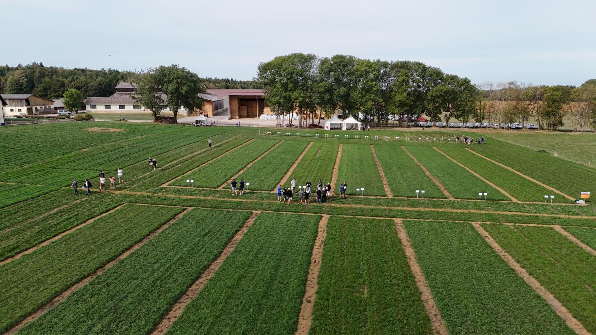 DJI202609241717520646D
