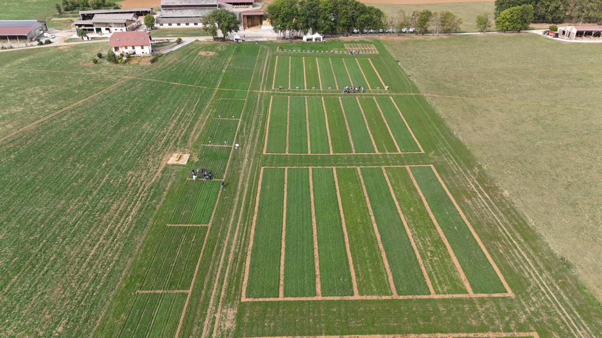 DJI202609241720220635D