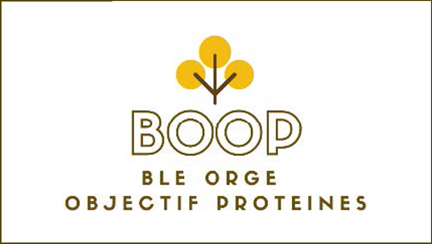 Message BOOP 5 (Blé Orge Objectif Protéines)
