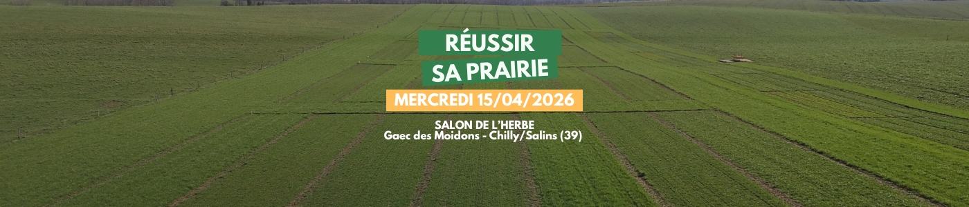 Bandeau_site_Chilly_2026